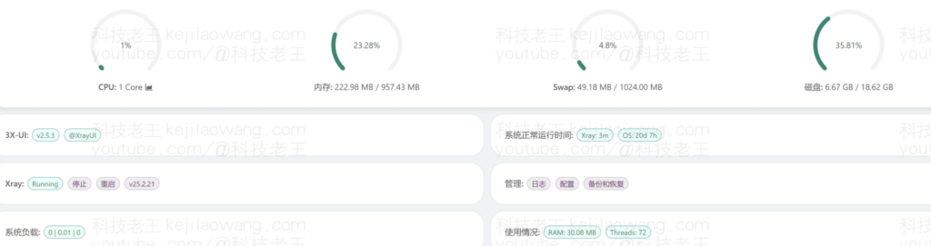 RackNerd VPS：年付约 10 美金起，1Gbps 带宽 / 2000G 月流量，真的值得买吗？